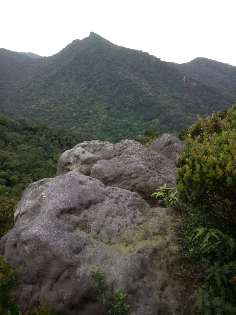 DSC_7026.JPG - 汐止  金面山(金明山)  稜線步道