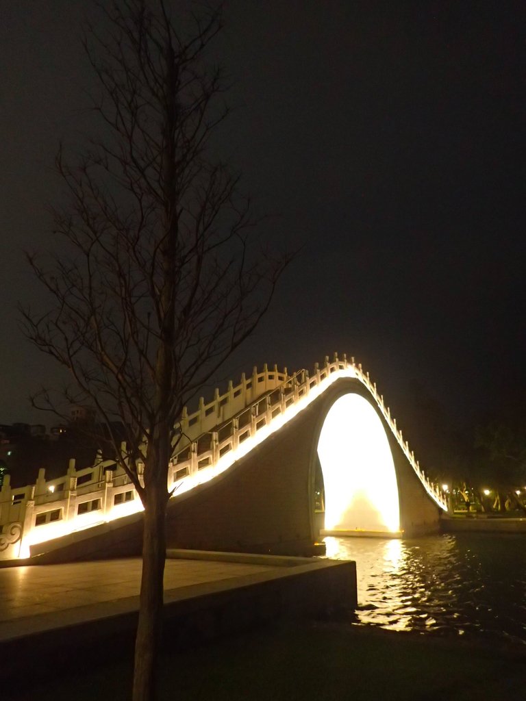 P3116976.JPG - 內湖  大湖公園之夜色