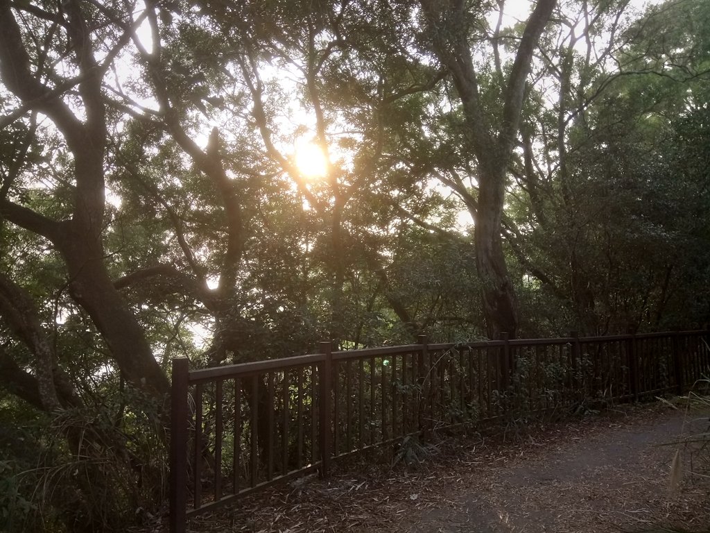 DSC_7486.JPG - 小百岳  橫山觀日步道