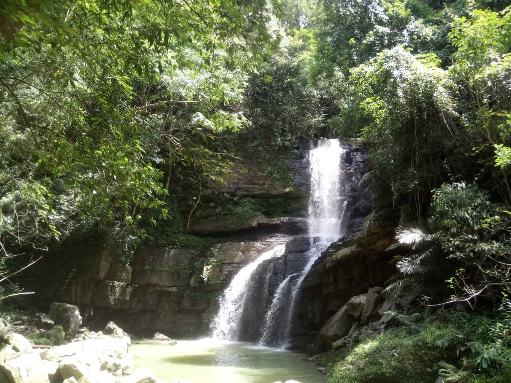 DSC_2663.JPG - 魚池  澀水森林步道  水上瀑布