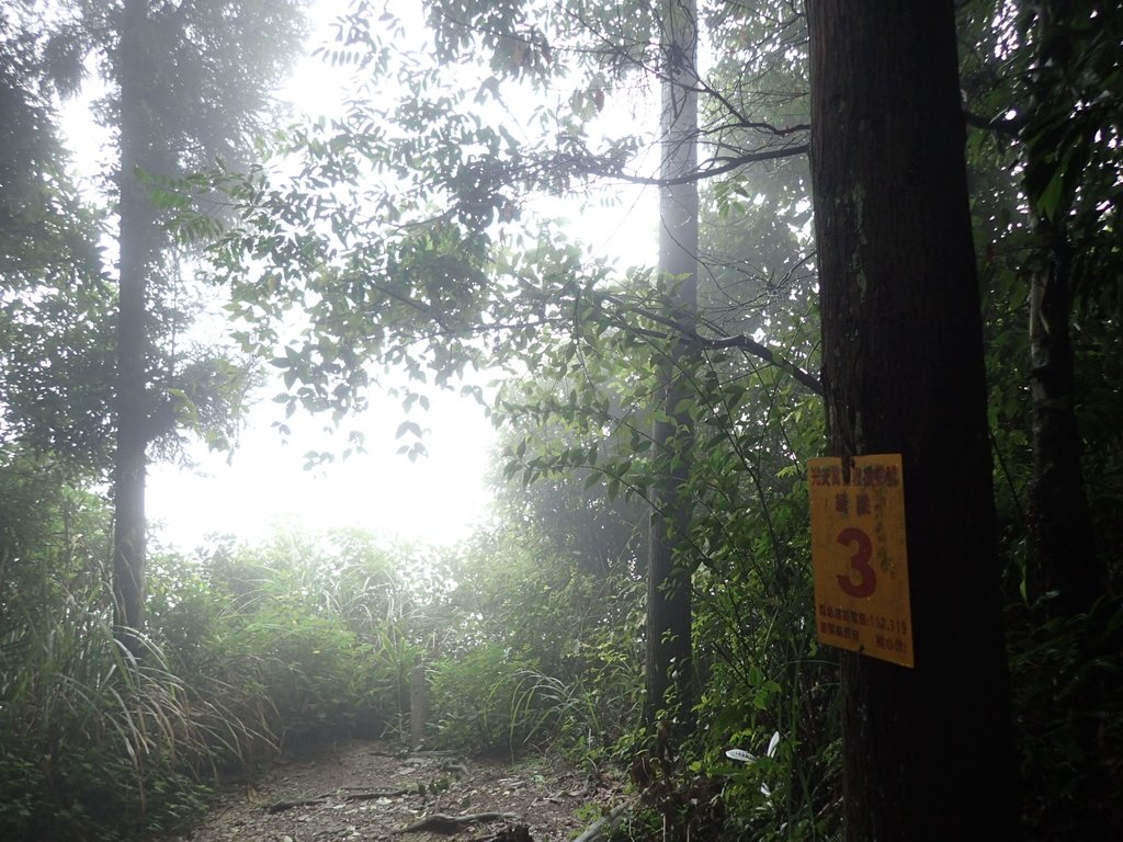 P9250155.JPG - 南庄  向天湖山  光天高山