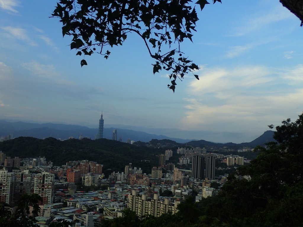 P9230026.JPG - 景美  仙跡岩親山步道