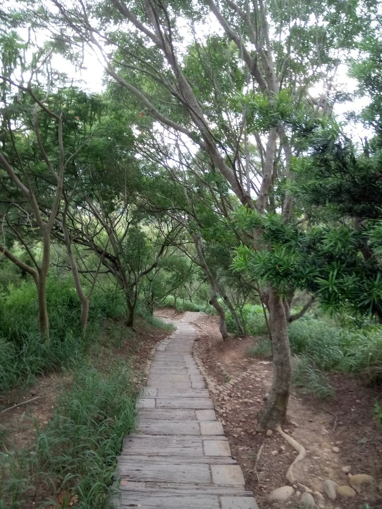 DSC_3997.JPG - 大肚  萬里長城登山步道