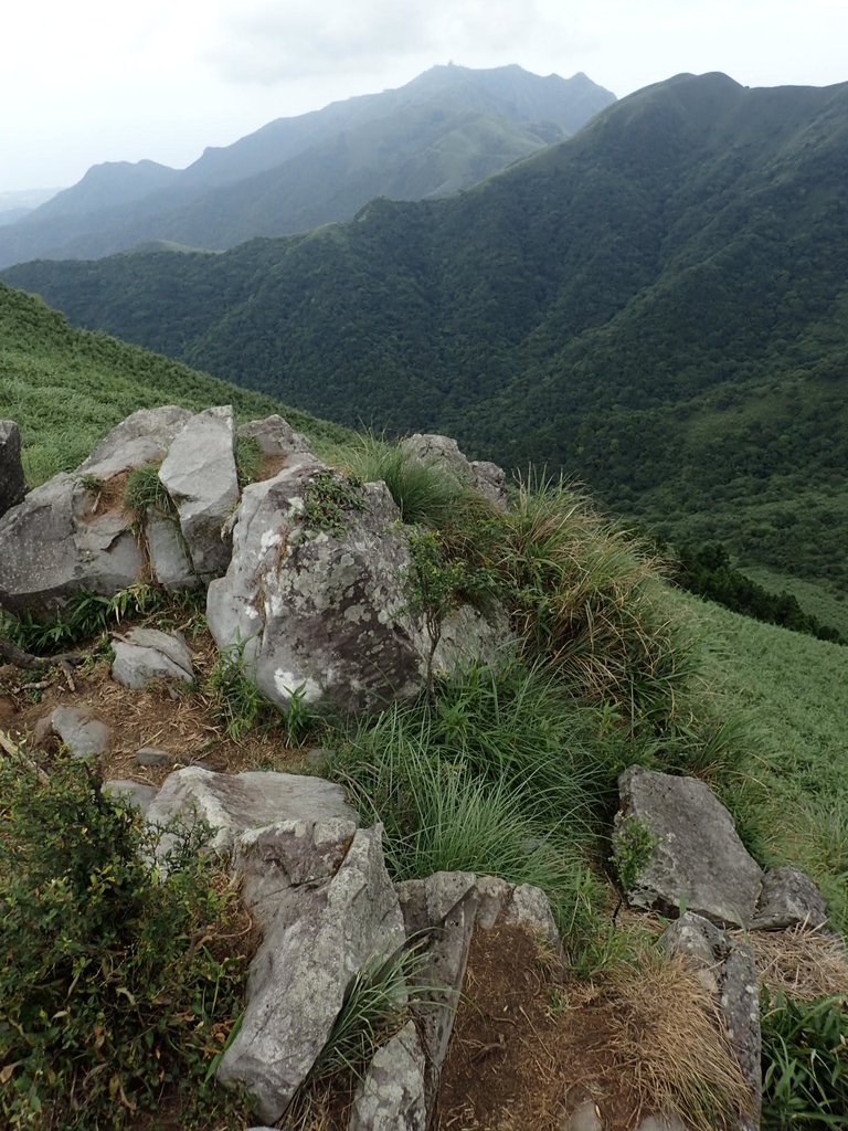 P7165518.JPG - 小觀音山  西峰登山步道