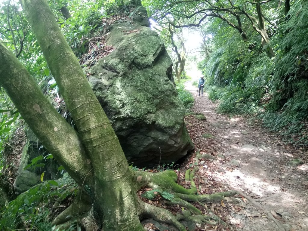 DSC_8642.JPG - 再訪  金包里大道  (魚路古道)