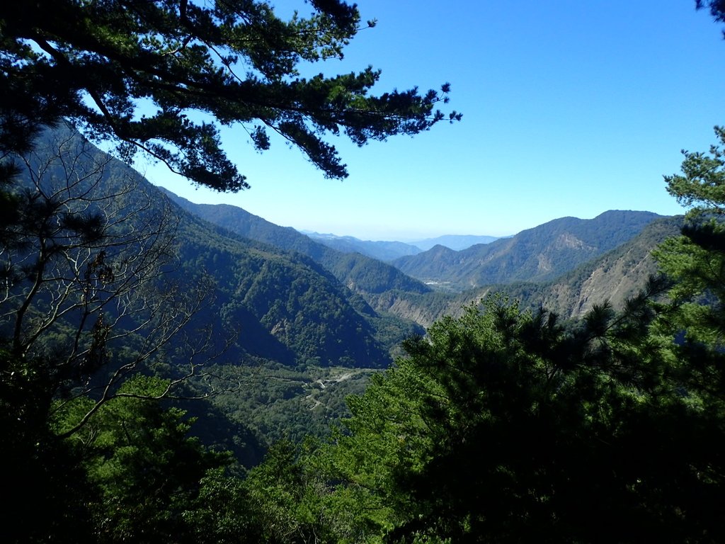 PB225062.JPG - 仁愛  惠蓀林場  巨松臺步道