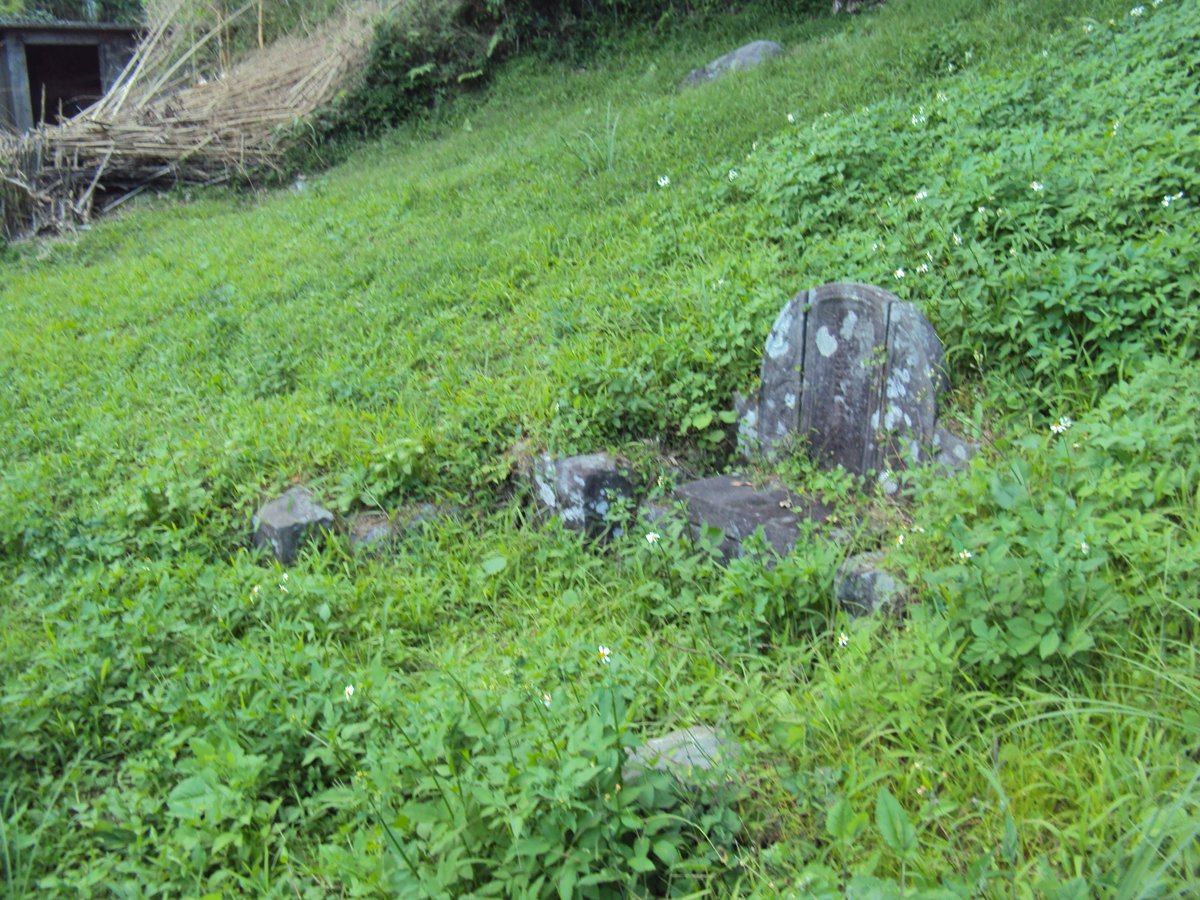 DSC09041.JPG - 金山  倒照湖  簡氏古墓  