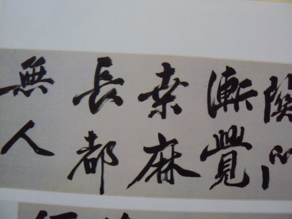 DSC00821.JPG - 王問  草書作品