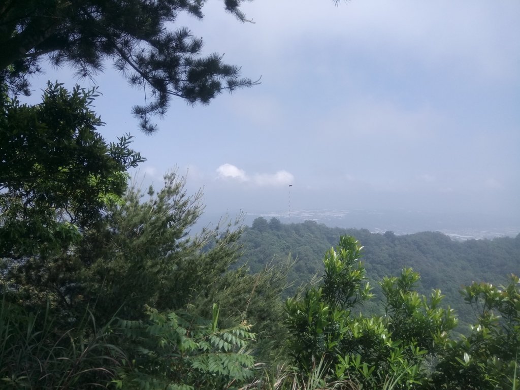 DSC_1271.JPG - 大坑四號步道  頭嵙山