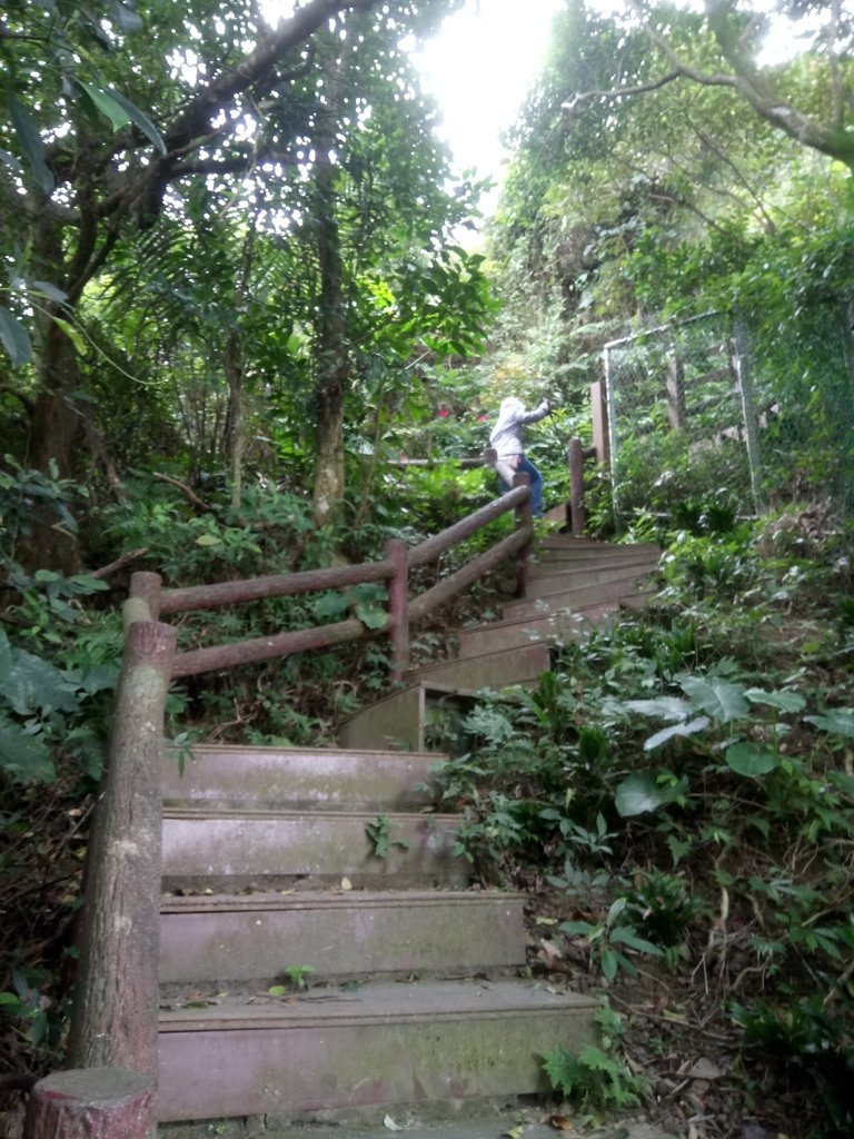 DSC_5288.JPG - 中和  南勢角山  (烘爐地)