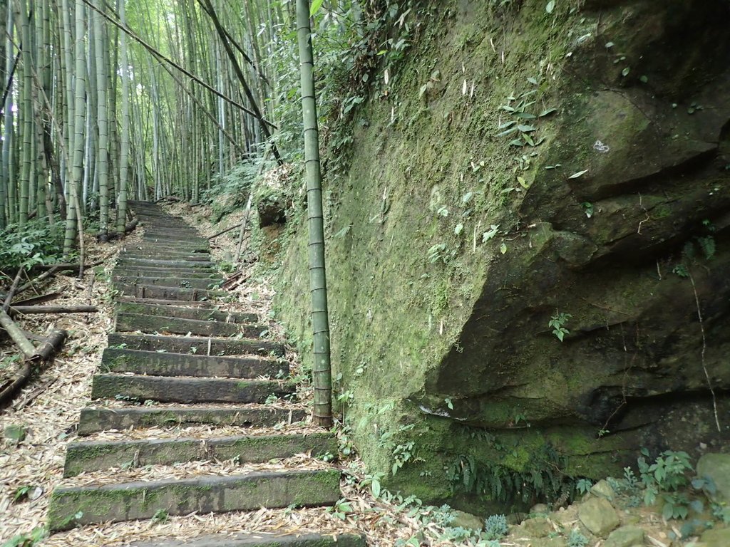 PA231702.JPG - 石壁山  嘉南雲峰步道