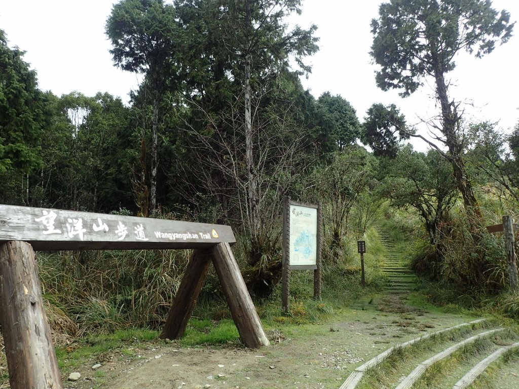 PB265369.JPG - 太平山  翠峰湖環山步道  02