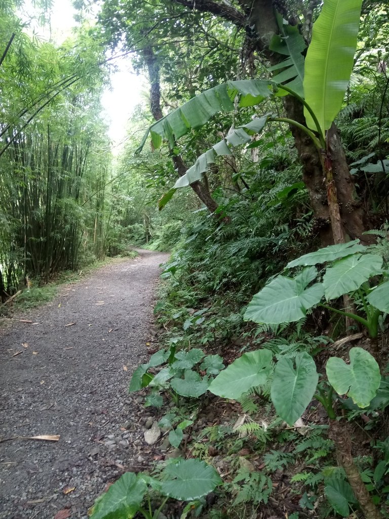 DSC_2786.JPG - 礁溪  聖母登山步道  (抹茶山)