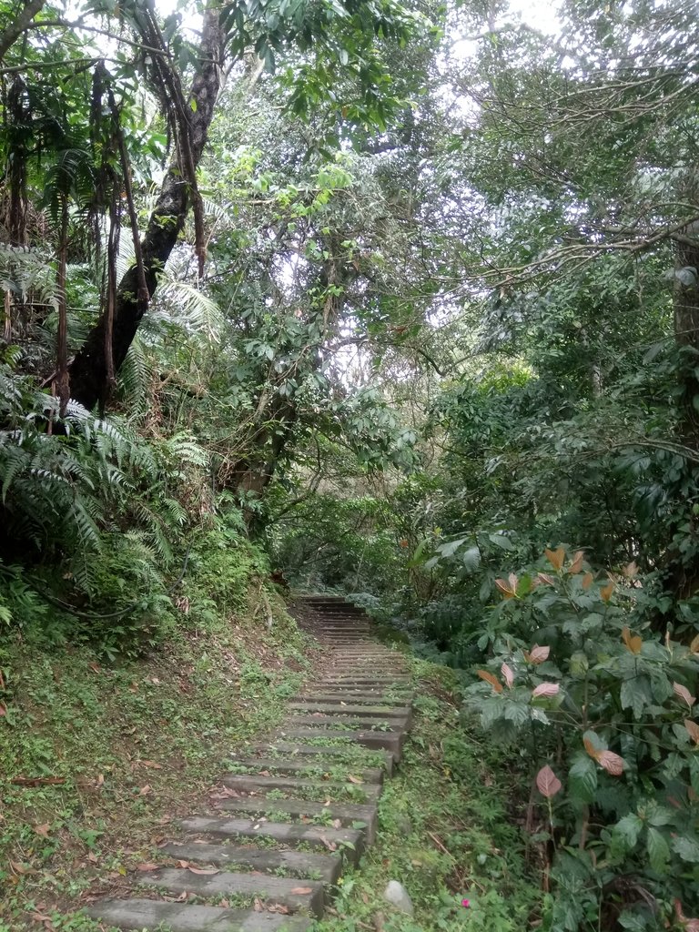 DSC_5983.JPG - 深坑  土庫岳登山步道  (01)