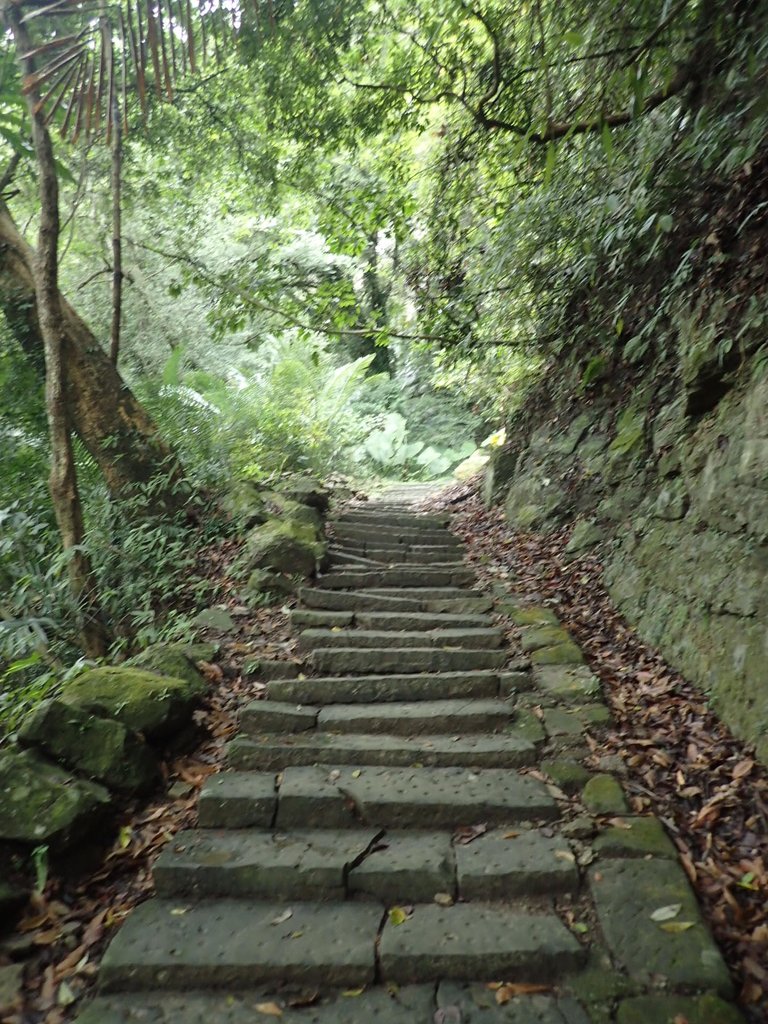 P1294518.JPG - 獅頭山  獅山古道  (01)