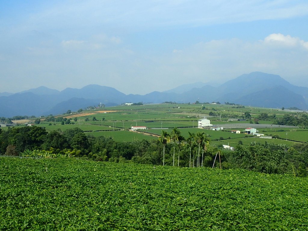 PA282147.JPG - 埔里  大坪頂  百香果園