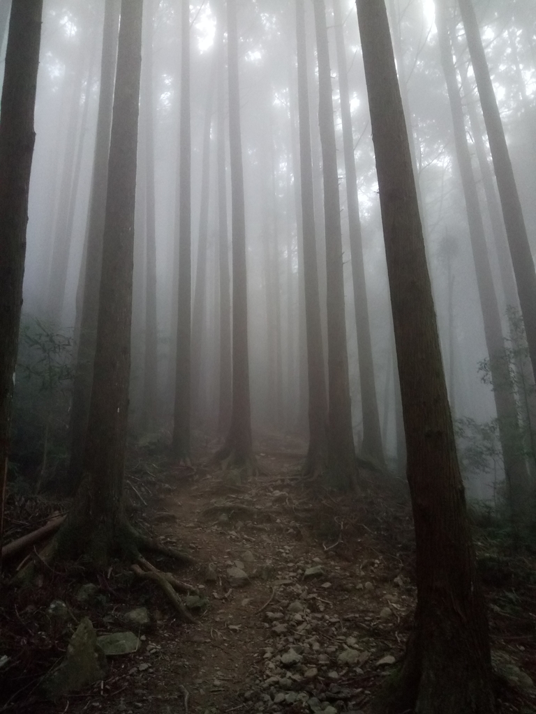 DSC_3800.JPG - 南庄  加里山  森林鐵道