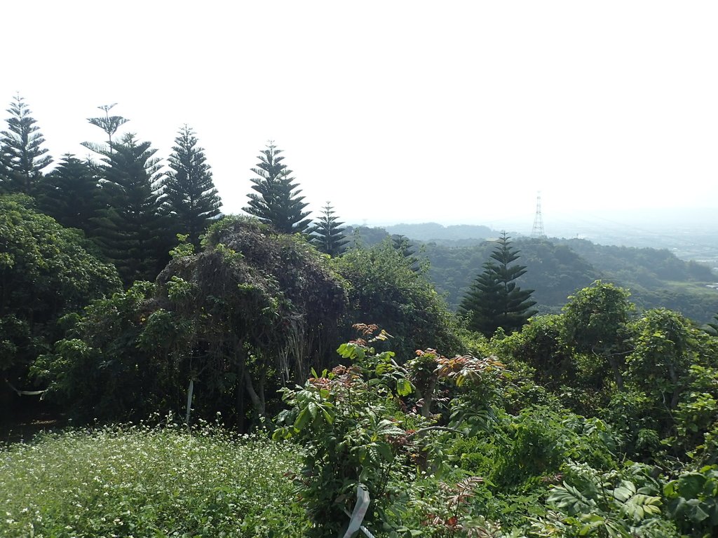 P2095094.JPG - 霧峰  阿罩霧山