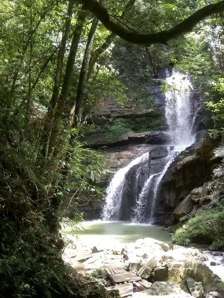 DSC_2669.JPG - 魚池  澀水森林步道  水上瀑布