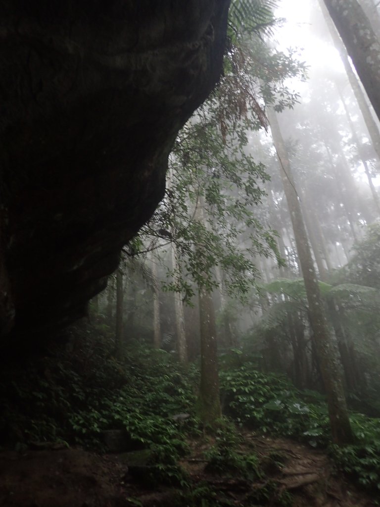 P9250153.JPG - 南庄  向天湖山  光天高山