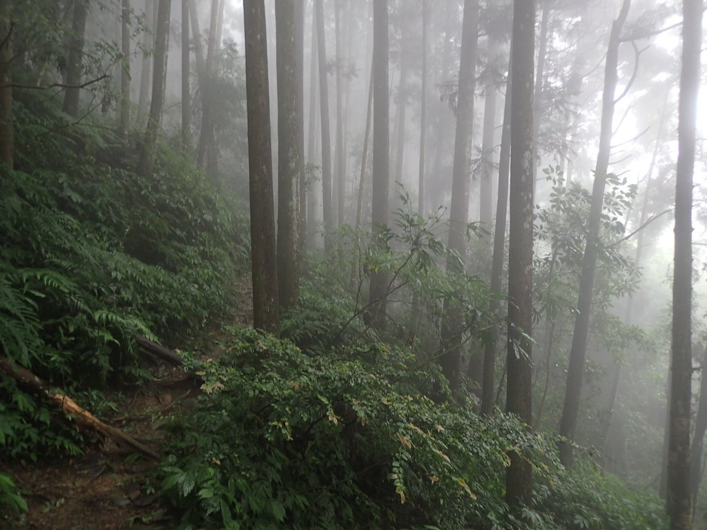 P9250158.JPG - 南庄  向天湖山  光天高山