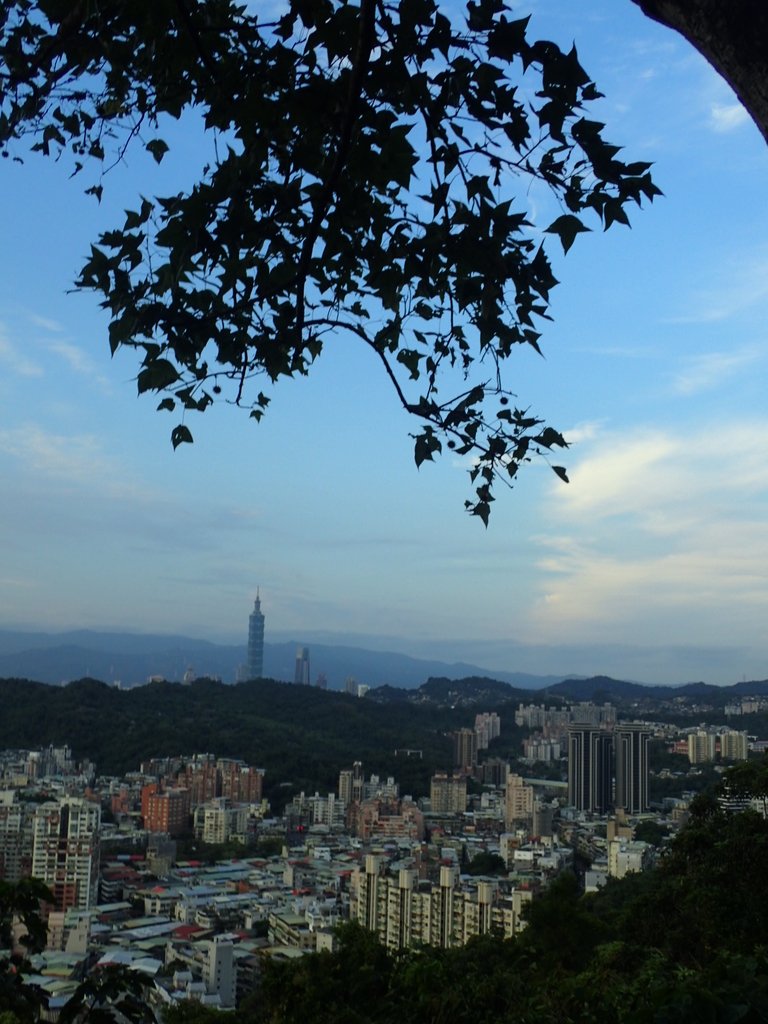 P9230027.JPG - 景美  仙跡岩親山步道