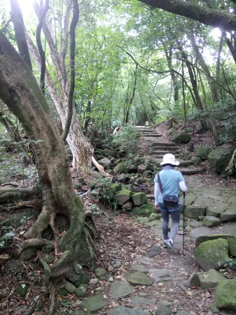 DSC_8643.JPG - 再訪  金包里大道  (魚路古道)