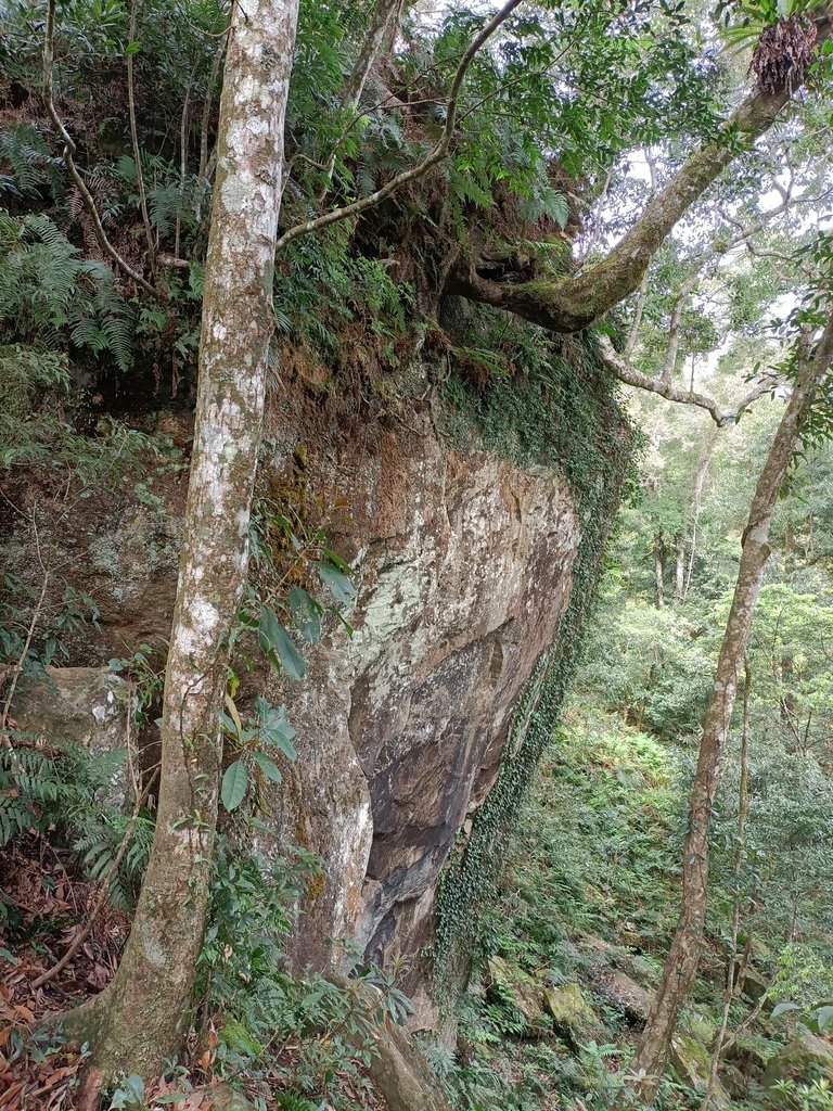 IMG20210403093304.jpg - 五峰  鵝公髻山登山步道  (01)