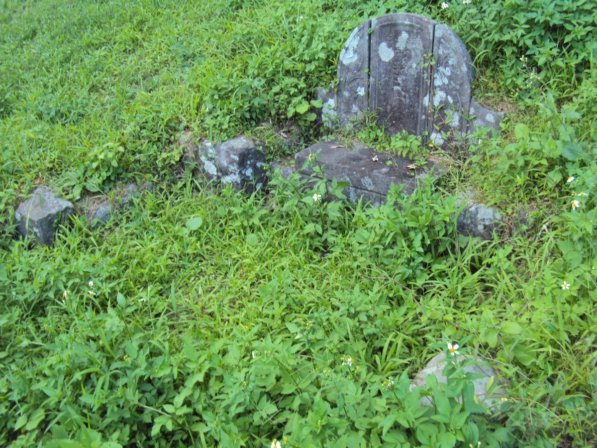 金山  兩湖村  簡氏古墓