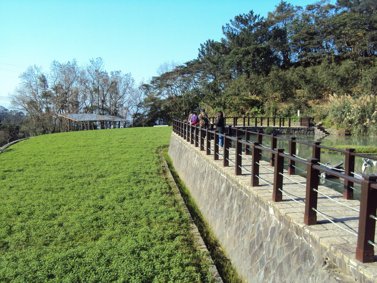 DSC03471.JPG - 貓空  樟樹步道