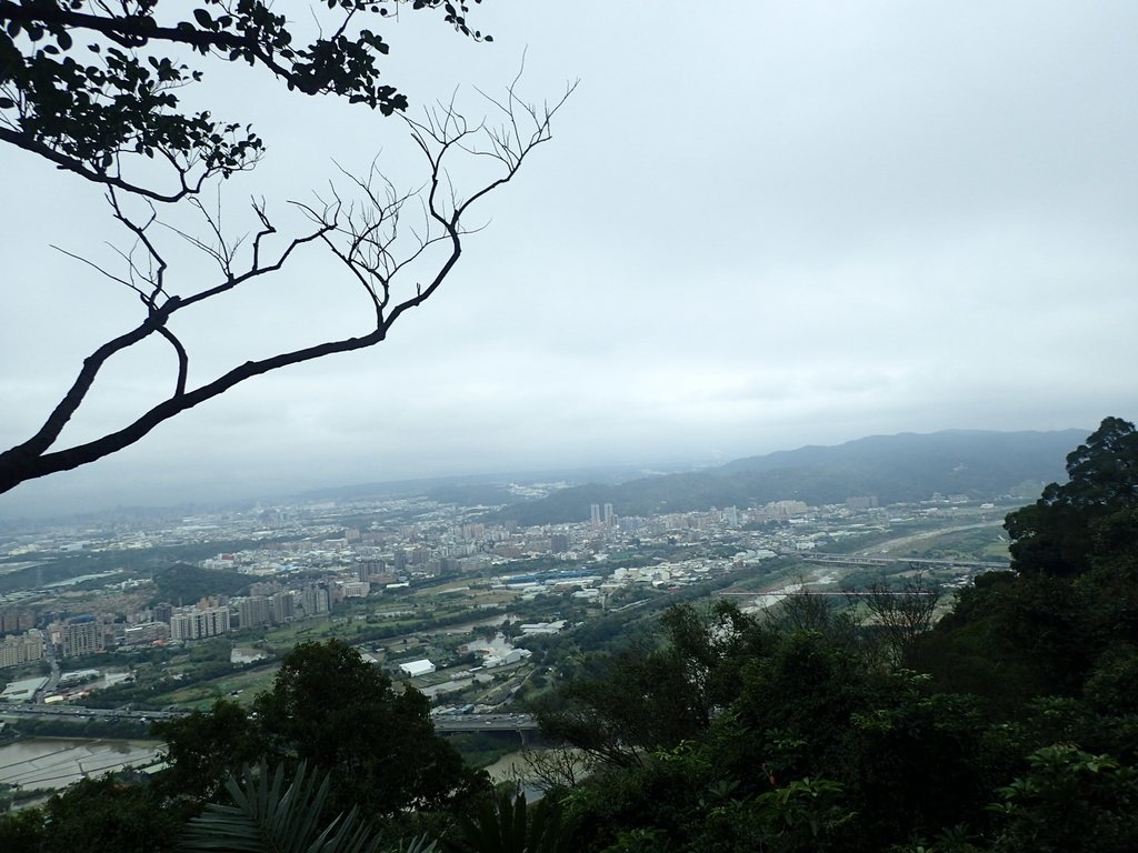 P2168034.JPG - 三峽  鳶山  (福德坑山)