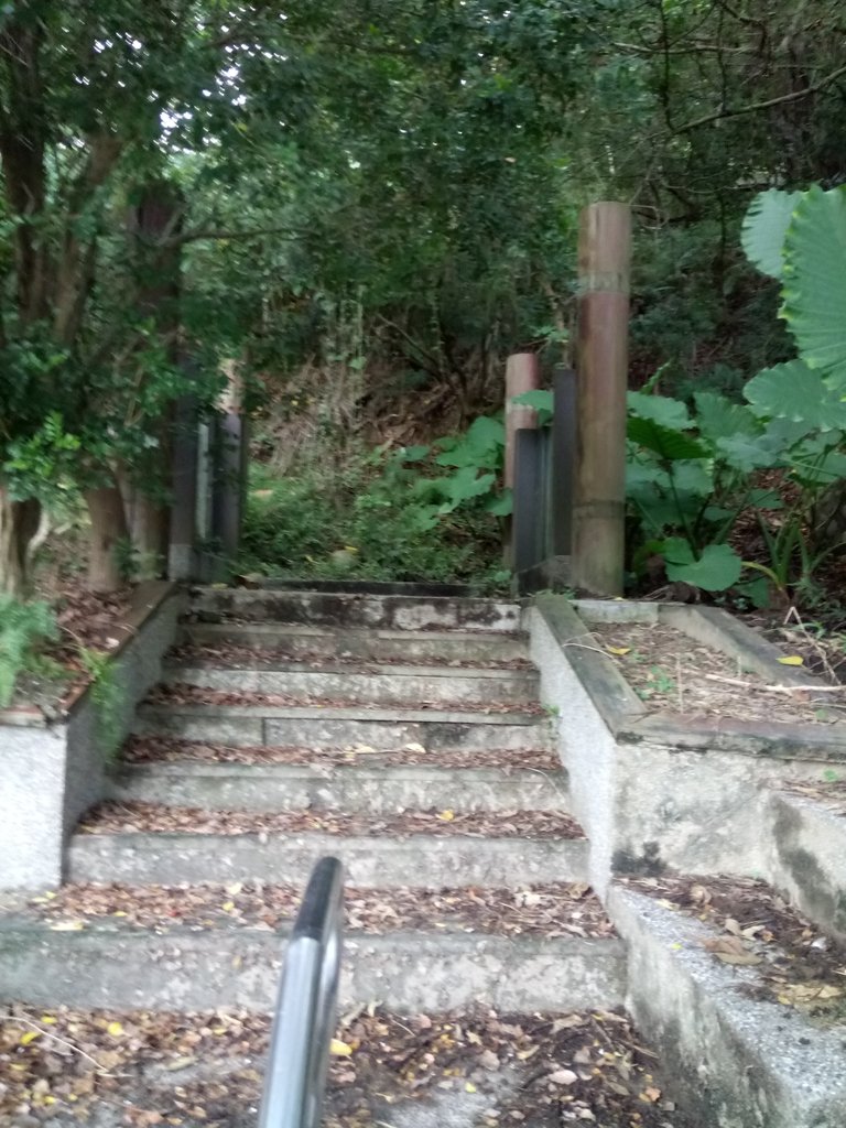 DSC_8987.JPG - 苗栗  稻荷神社遺址