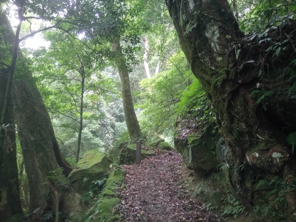 DSC_1278.JPG - 石壁山  嘉南雲峰步道