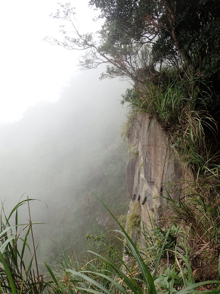 PA231714.JPG - 石壁山  嘉南雲峰步道