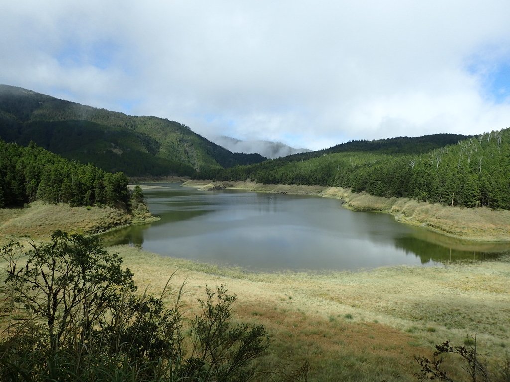 PB265377.JPG - 太平山  翠峰湖環山步道  02