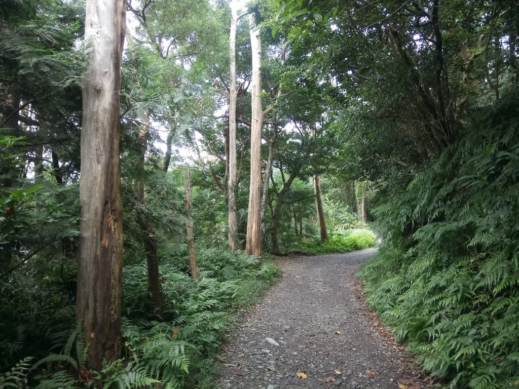 DSC_2787.JPG - 礁溪  聖母登山步道  (抹茶山)