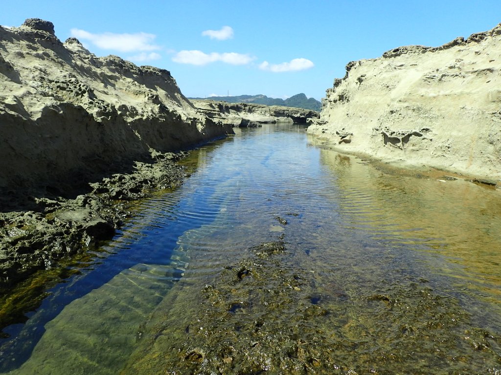 PA115050.JPG - 東北角海岸岩石之美  (03)