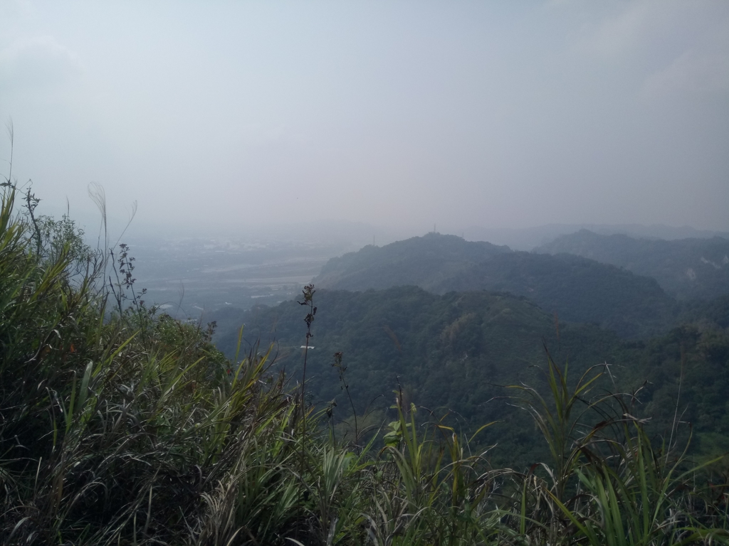 DSC_7364.JPG - 草屯平林  九九峰森林步道