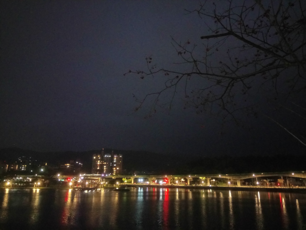 DSC_9304.JPG - 內湖  大湖公園之夜色