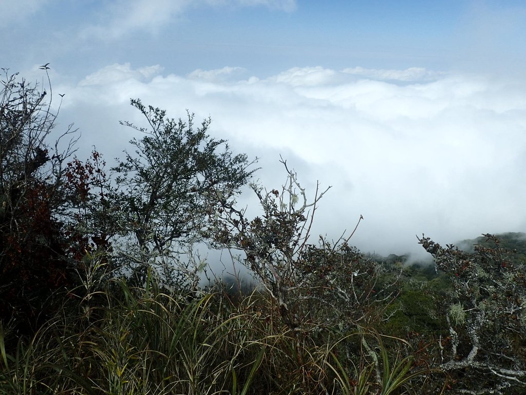 P2034884.JPG - 南庄  加里山