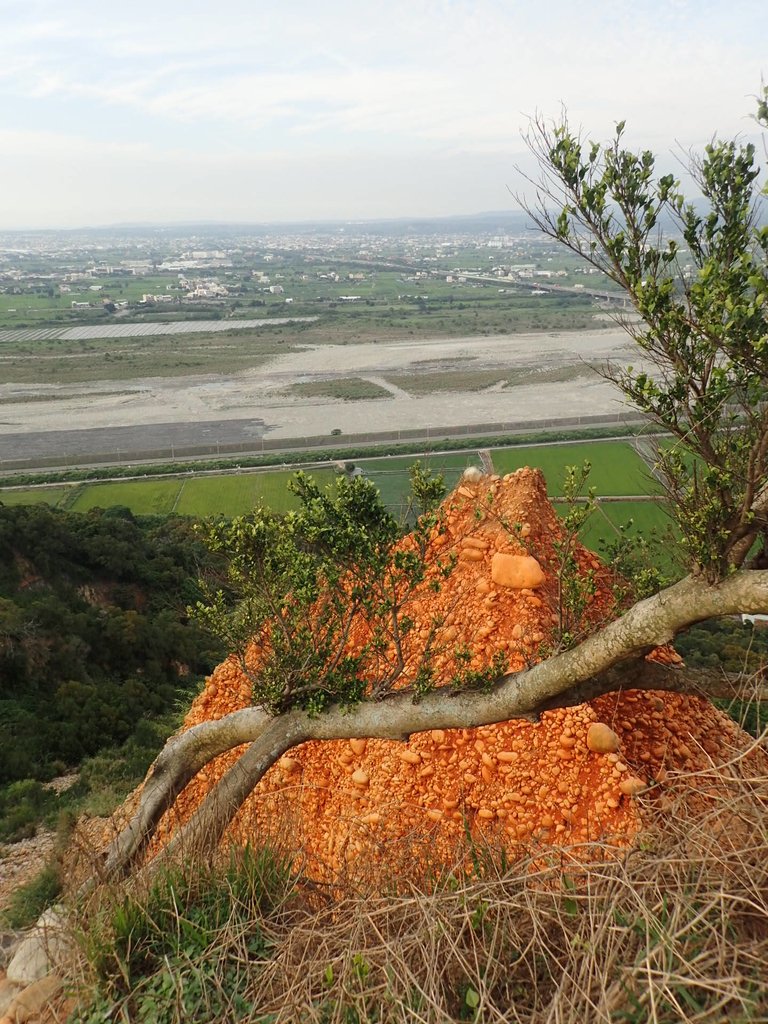 P4272238.JPG - 大甲  鐵砧山風景區