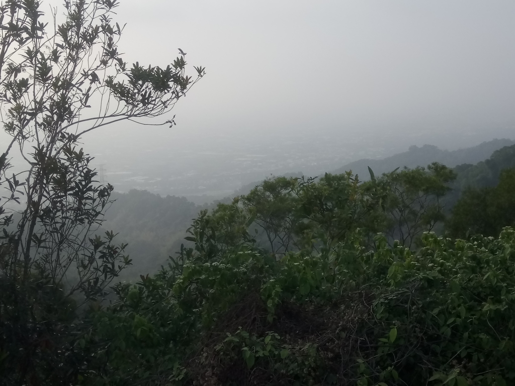 DSC_7492.JPG - 小百岳  橫山觀日步道