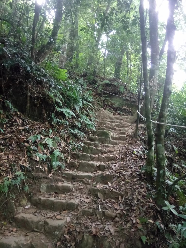 DSC_1049.JPG - 新竹  五指山登山步道