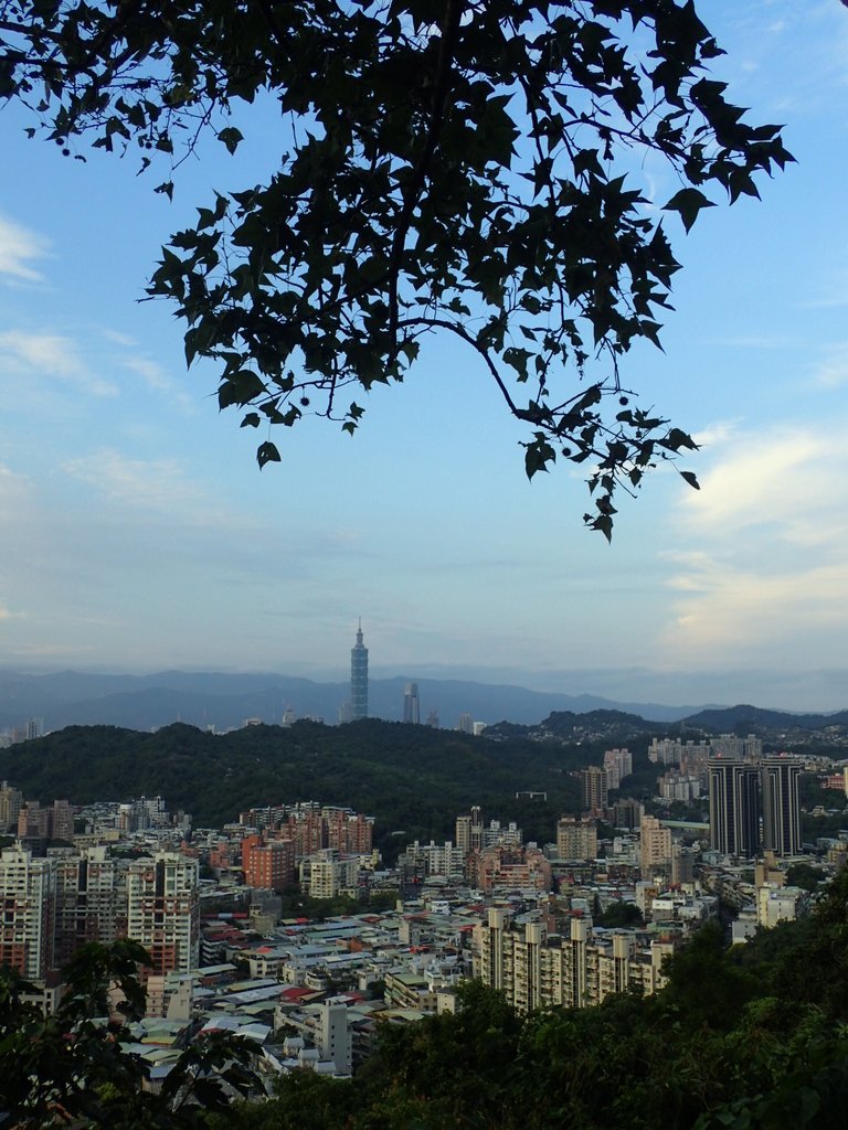 P9230028.JPG - 景美  仙跡岩親山步道