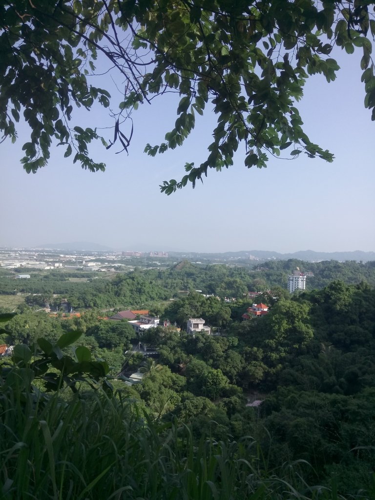 DSC_2061.JPG - 大社  觀音山步道