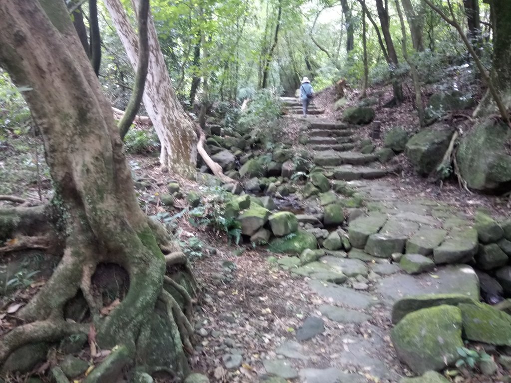 DSC_8645.JPG - 再訪  金包里大道  (魚路古道)