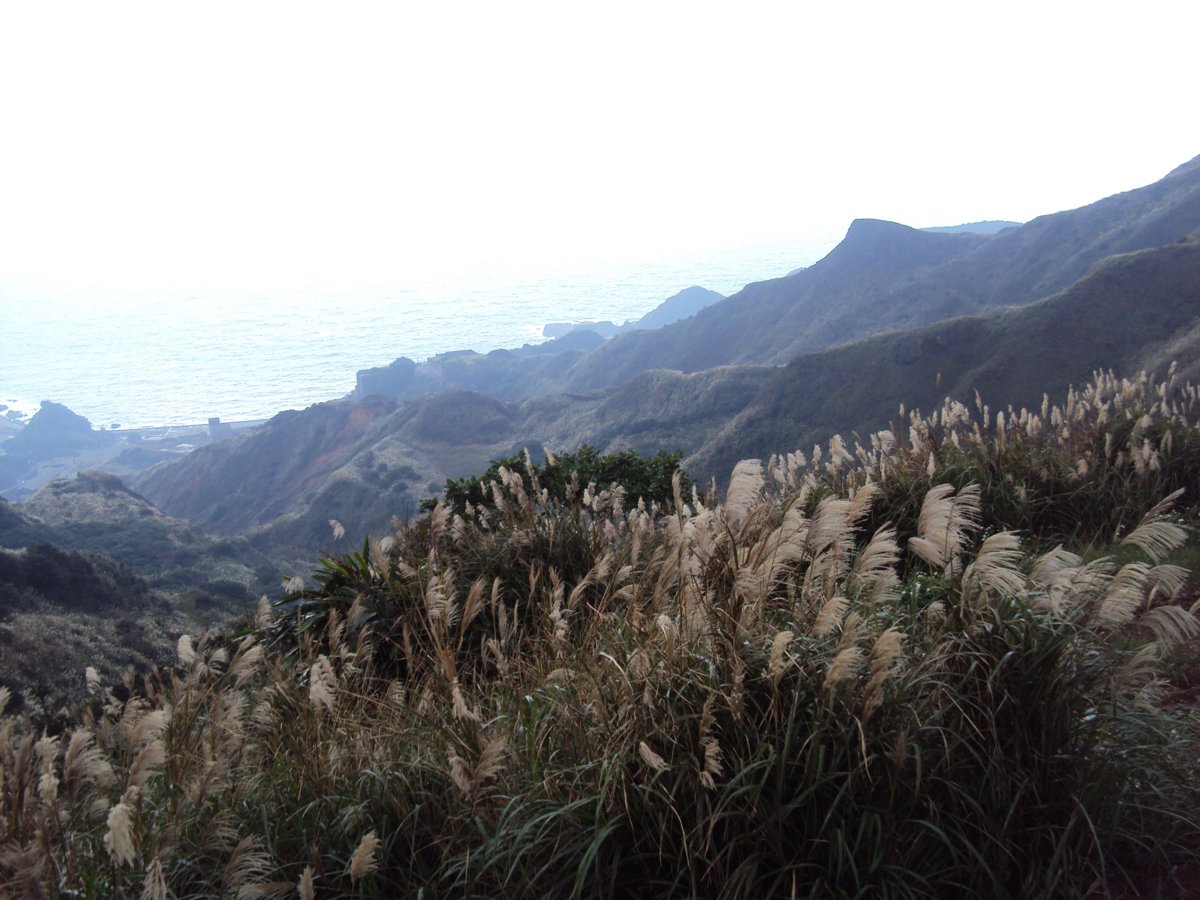 DSC03268.JPG - 無耳茶壺山產業道路