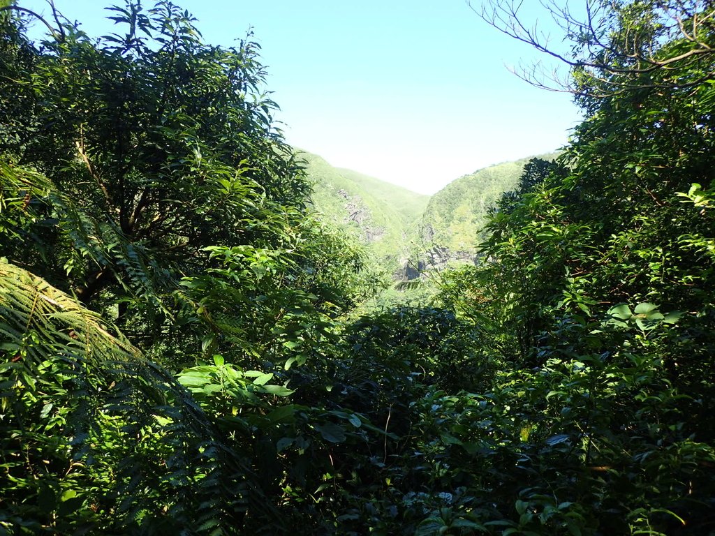 P7296088.JPG - 金山  竹子山古道  阿里磅瀑布