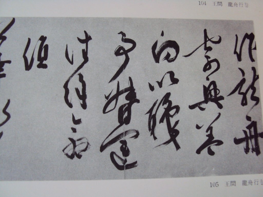 DSC00028.JPG - 王問  草書作品