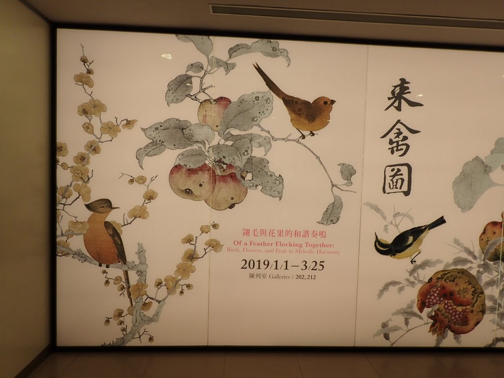 P1173101.JPG - 故宮 來禽圖特展